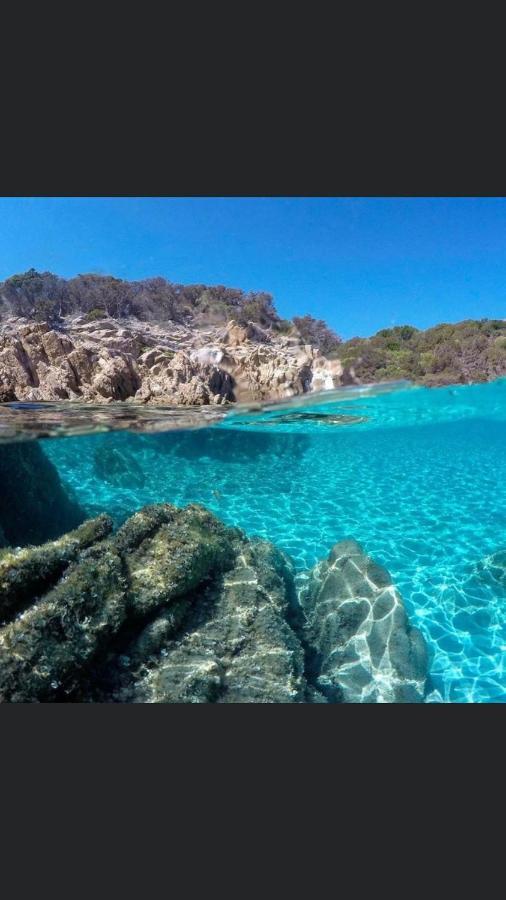 Tuffarsi Nel Paradiso 维拉西米乌斯 外观 照片